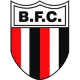 Logo Botafogo SP