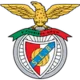Logo Benfica (w)