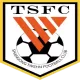 Logo Shandong Taishan FC