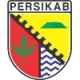 Logo Persikab Bandung