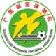 Logo Guangdong (w)
